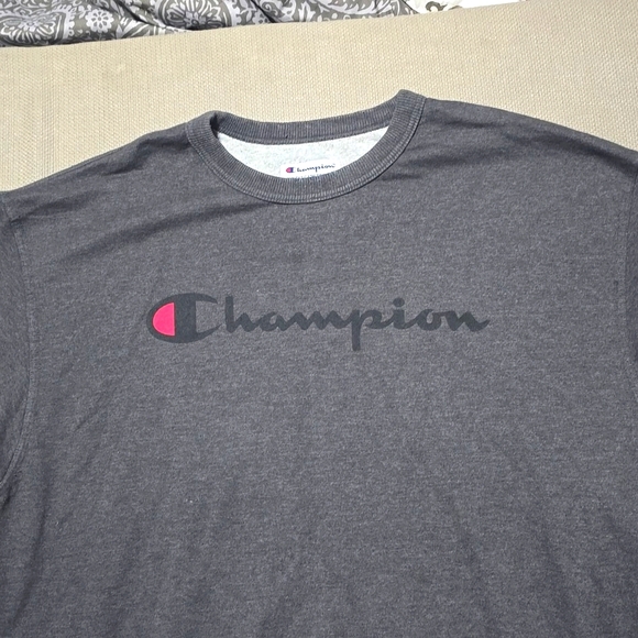 Champion Authentic Athletic Wear Pullover Gray Sweater Men's Size XL - Picture 3 of 15